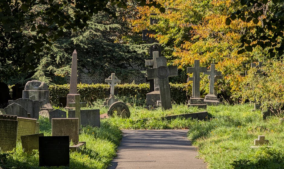 A view of a cemetery with several gravestones of varying shapes and sizes, positioned behind a patch of tall, green, untrimmed grass. The gravestones include rectangular and curved-topped slabs, with