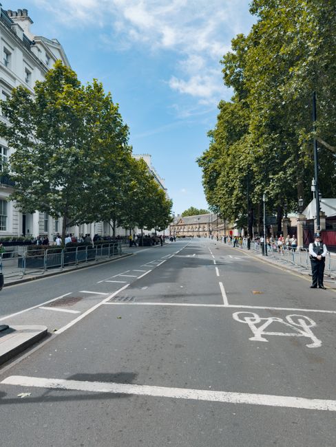 A wide street scene in Brompton with large, leafy trees lining both sides of the road. The street surface is visible with designated parking bays and a bicycle lane marked on the asphalt. On the right, a man in a white shirt and dark trousers, possibly a member of the Man and Van Brompton team, stands near the curb. The scene features some buildings with classic architectural features, and in the distance, there are more trees and structures, indicating an urban residential area. The bright, partly cloudy sky suggests daytime, suitable for home relocation or furniture transport activities associated with removals services, with visible surroundings supporting the context of a busy urban street where a moving company might operate a loading or unloading process.